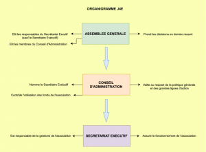 Organigramme